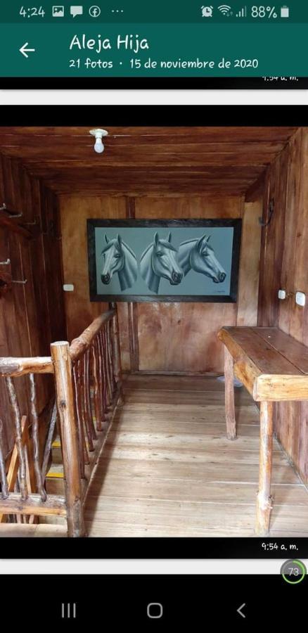 Hostal Gallito Roca Jardín Esterno foto