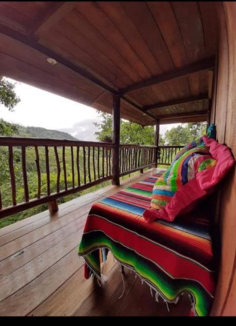 Hostal Gallito Roca Jardín Esterno foto