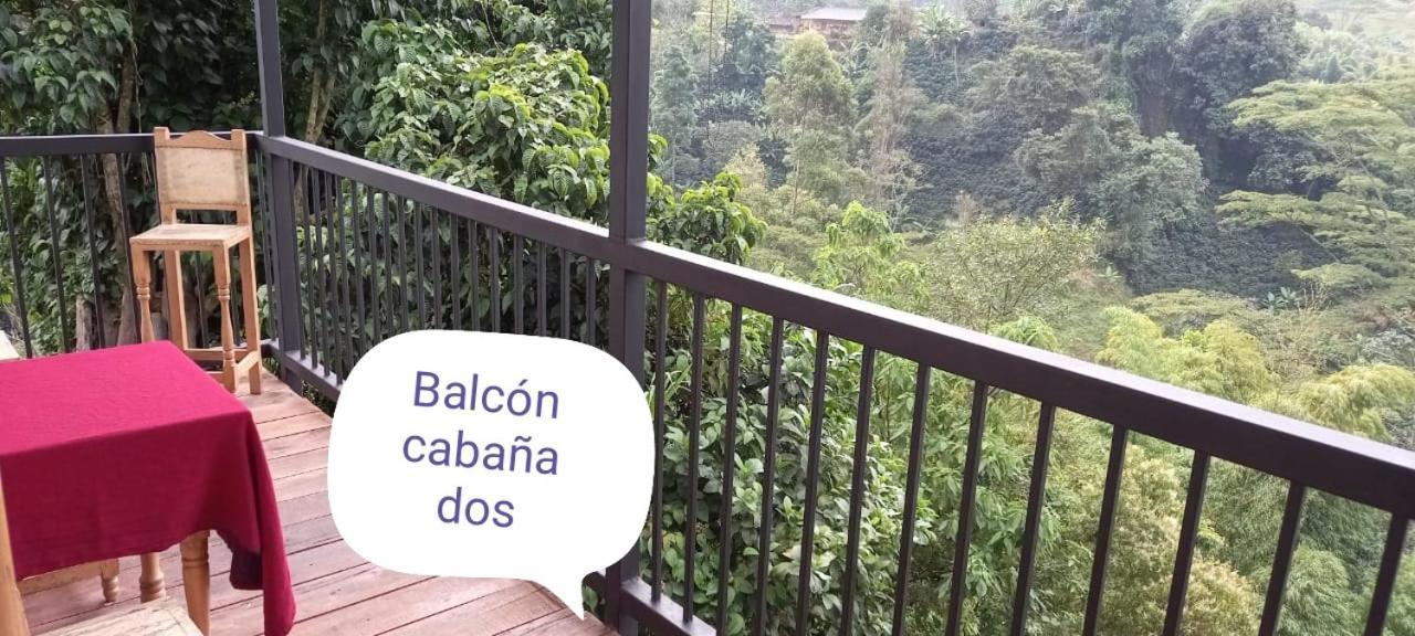 Hostal Gallito Roca Jardín Esterno foto