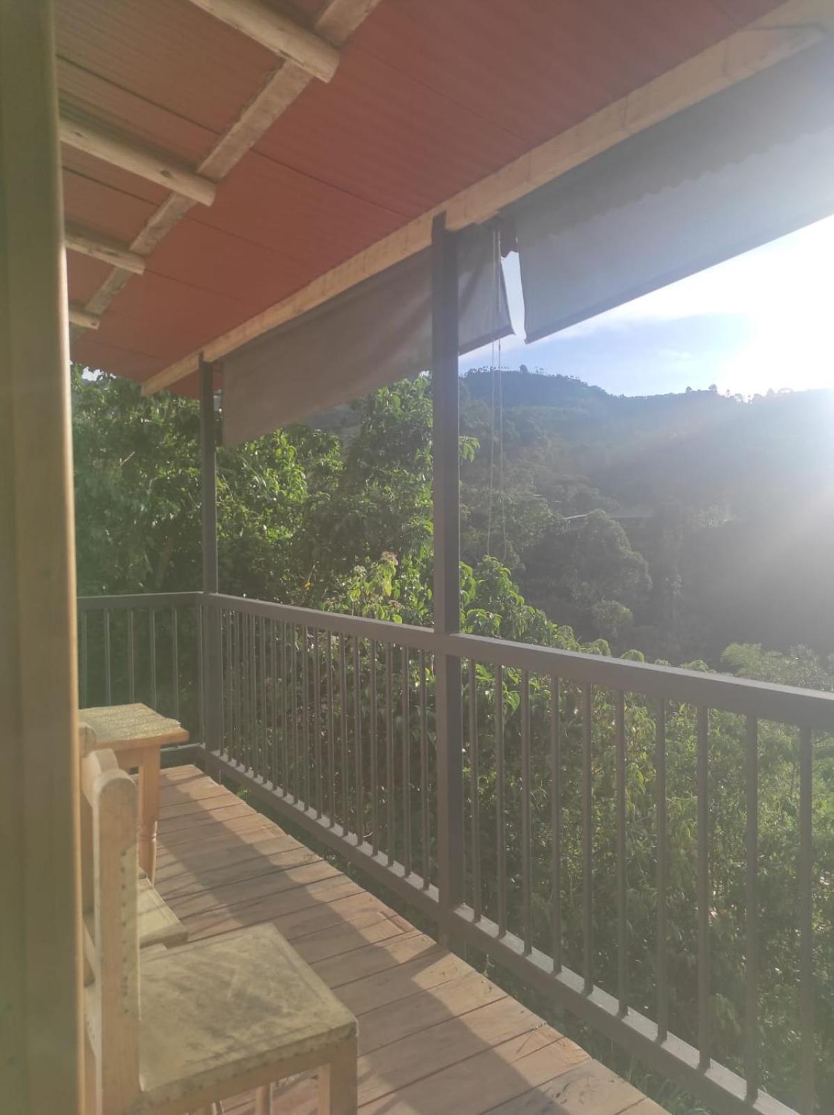 Hostal Gallito Roca Jardín Esterno foto